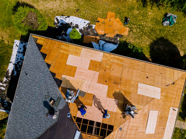 Best Roof Maintenance Services  in Spencerville, NM
